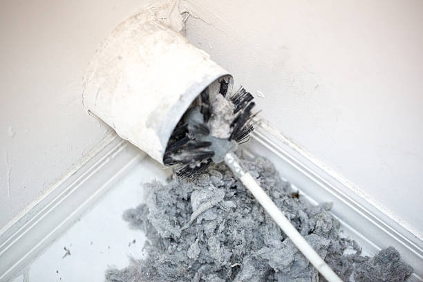 Best Affordable Duct Cleaning Services  in Metairie, LA